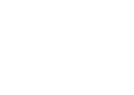 logo-wse-blanco